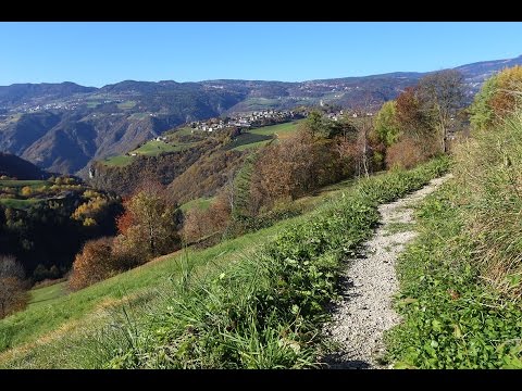 Spaziergang durch Südtirols Wiesen
