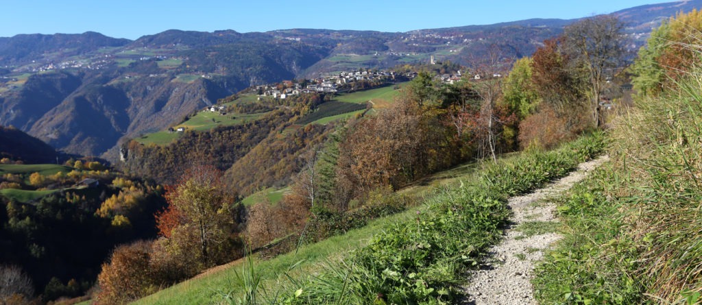 Spaziergang durch Südtirols Wiesen (Foto-Slideshow)