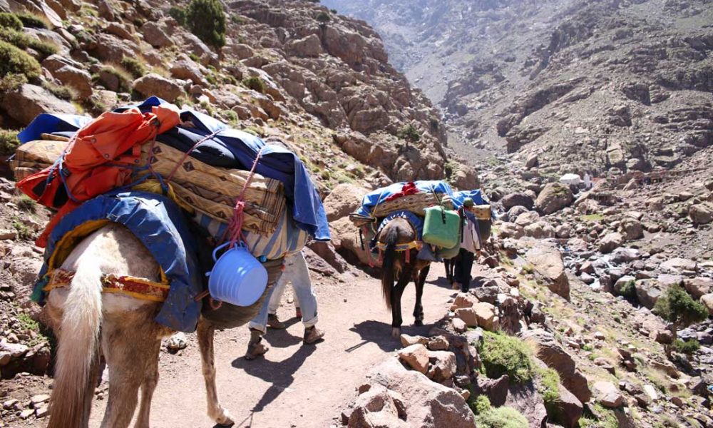 Jebel Toubkal Trekking